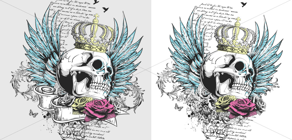 Skull Art