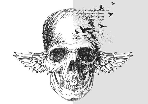 Skull Art Design
