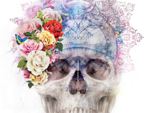 Skull Art